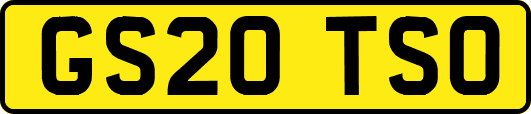 GS20TSO