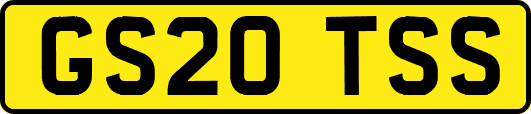 GS20TSS