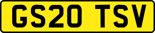 GS20TSV