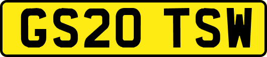 GS20TSW