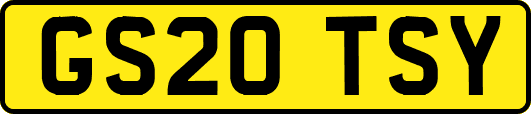 GS20TSY