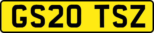 GS20TSZ