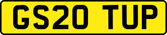 GS20TUP