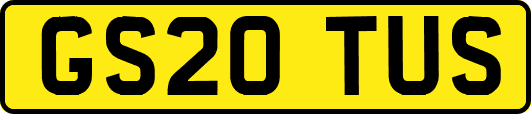 GS20TUS