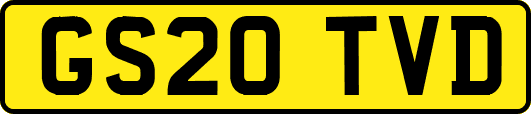 GS20TVD