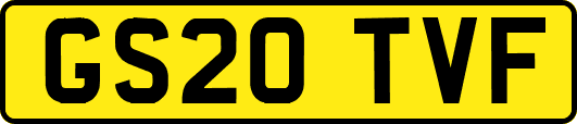 GS20TVF