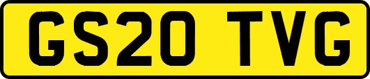 GS20TVG