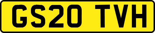 GS20TVH