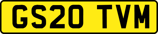 GS20TVM