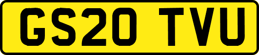 GS20TVU