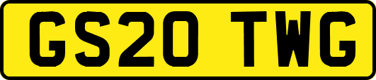 GS20TWG