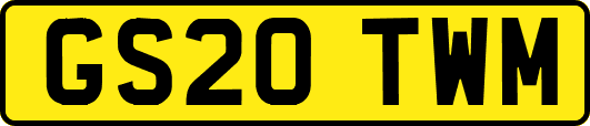 GS20TWM