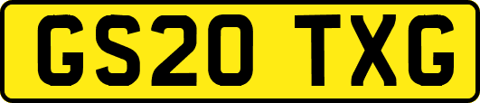 GS20TXG