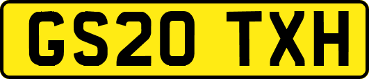 GS20TXH