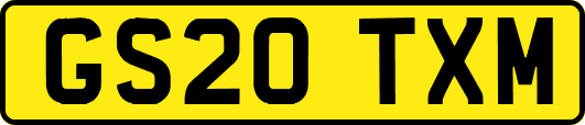 GS20TXM