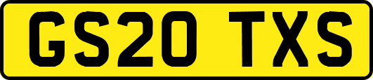 GS20TXS
