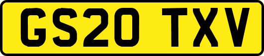 GS20TXV