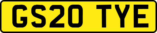 GS20TYE