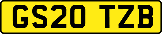 GS20TZB