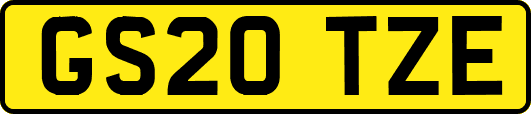 GS20TZE