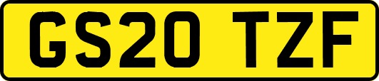GS20TZF