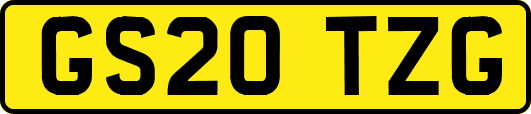 GS20TZG