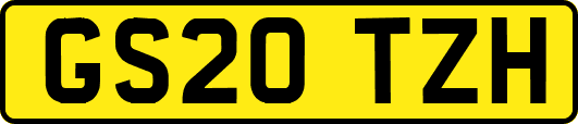 GS20TZH