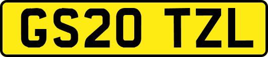 GS20TZL