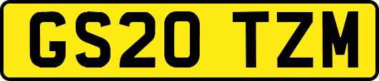 GS20TZM