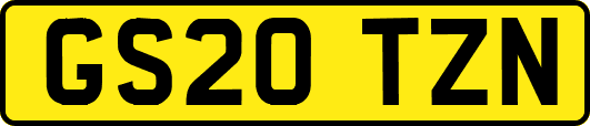GS20TZN