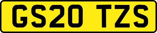 GS20TZS