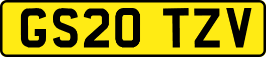 GS20TZV