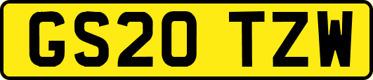 GS20TZW