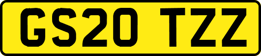 GS20TZZ