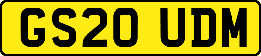 GS20UDM