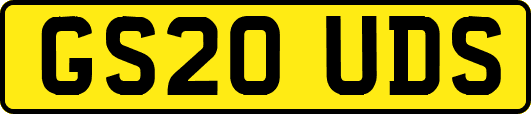 GS20UDS