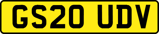 GS20UDV