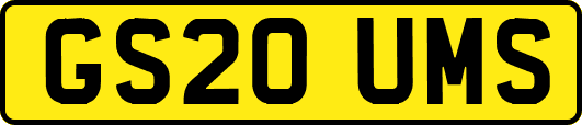 GS20UMS
