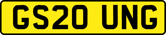 GS20UNG