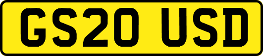 GS20USD