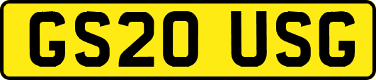 GS20USG
