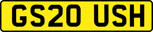 GS20USH