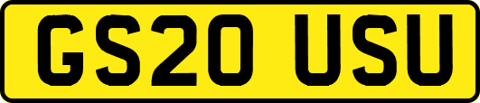 GS20USU