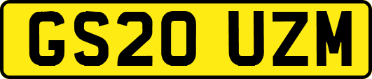 GS20UZM