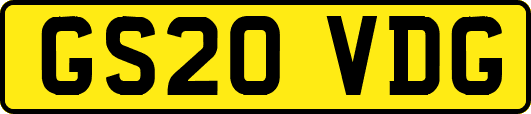GS20VDG