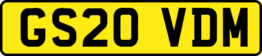 GS20VDM