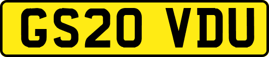 GS20VDU