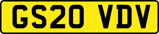 GS20VDV