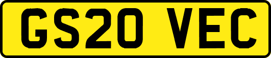 GS20VEC