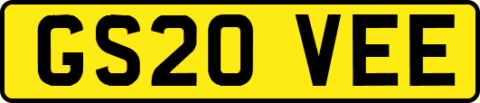 GS20VEE